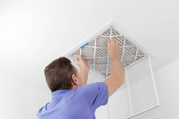 Best Dryer Vent Cleaning Services  in Lavonia, GA